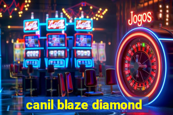 canil blaze diamond